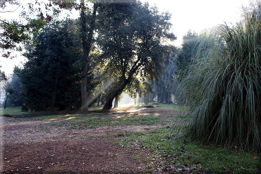 foto Parco di Villa Borghese